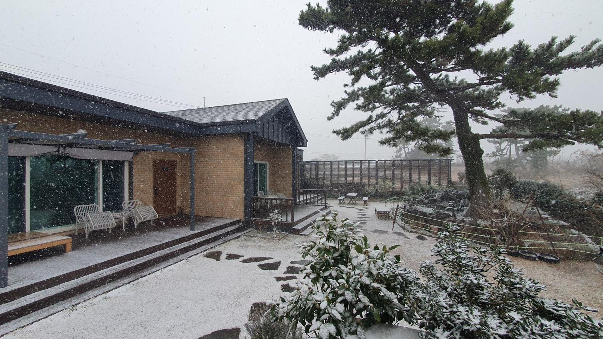 Wind Jeju Cafe & Pension Seogwipo Eksteriør billede