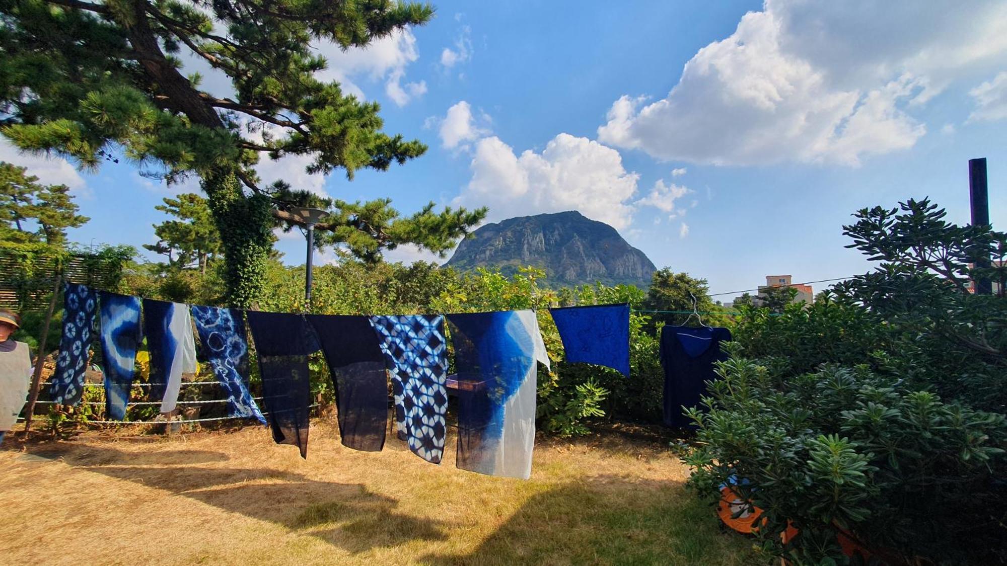 Wind Jeju Cafe & Pension Seogwipo Eksteriør billede