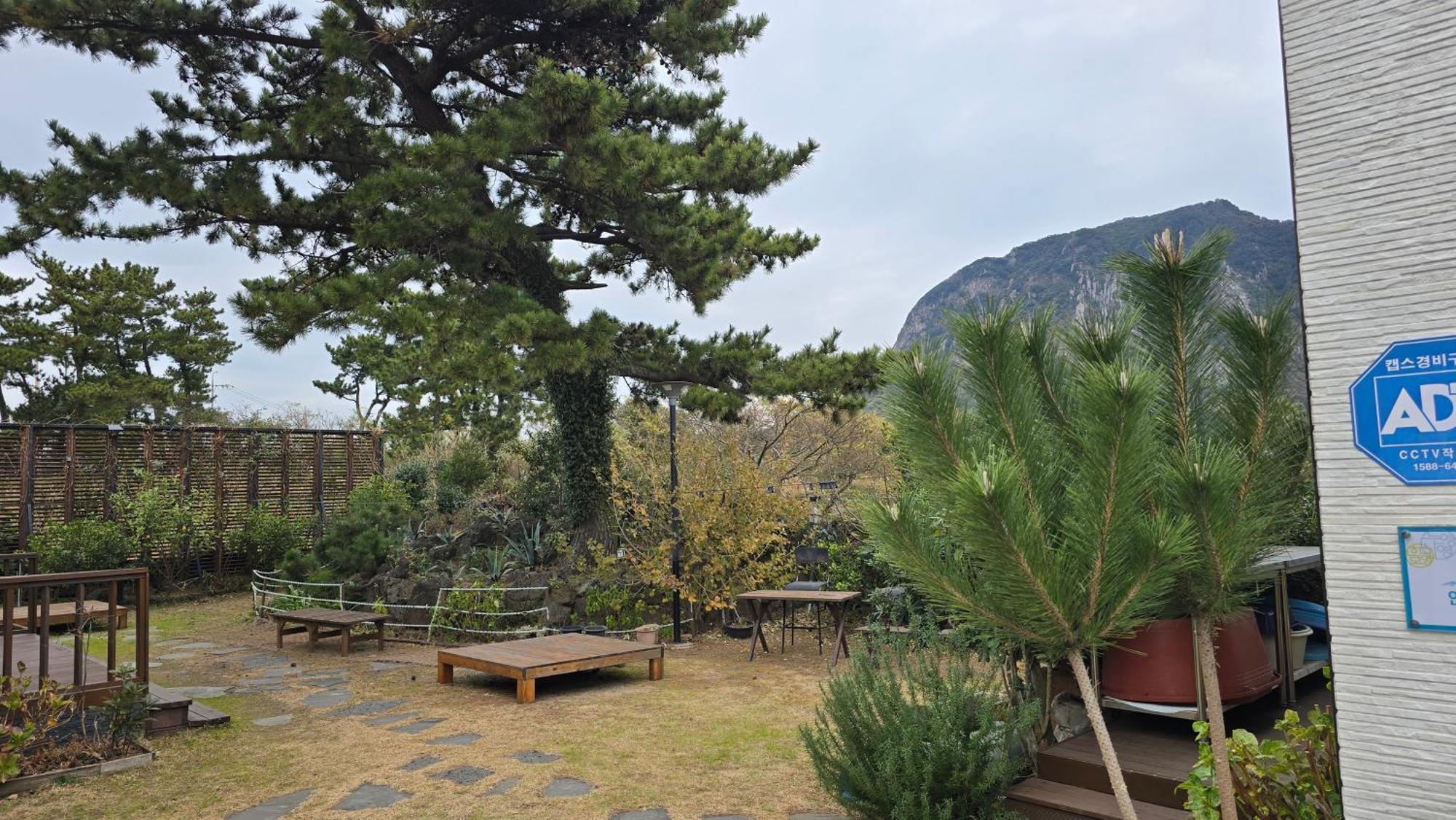 Wind Jeju Cafe & Pension Seogwipo Eksteriør billede
