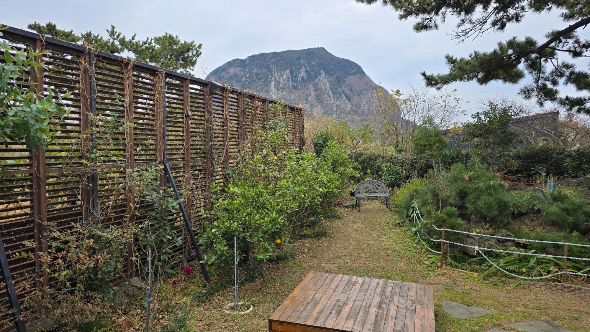 Wind Jeju Cafe & Pension Seogwipo Eksteriør billede